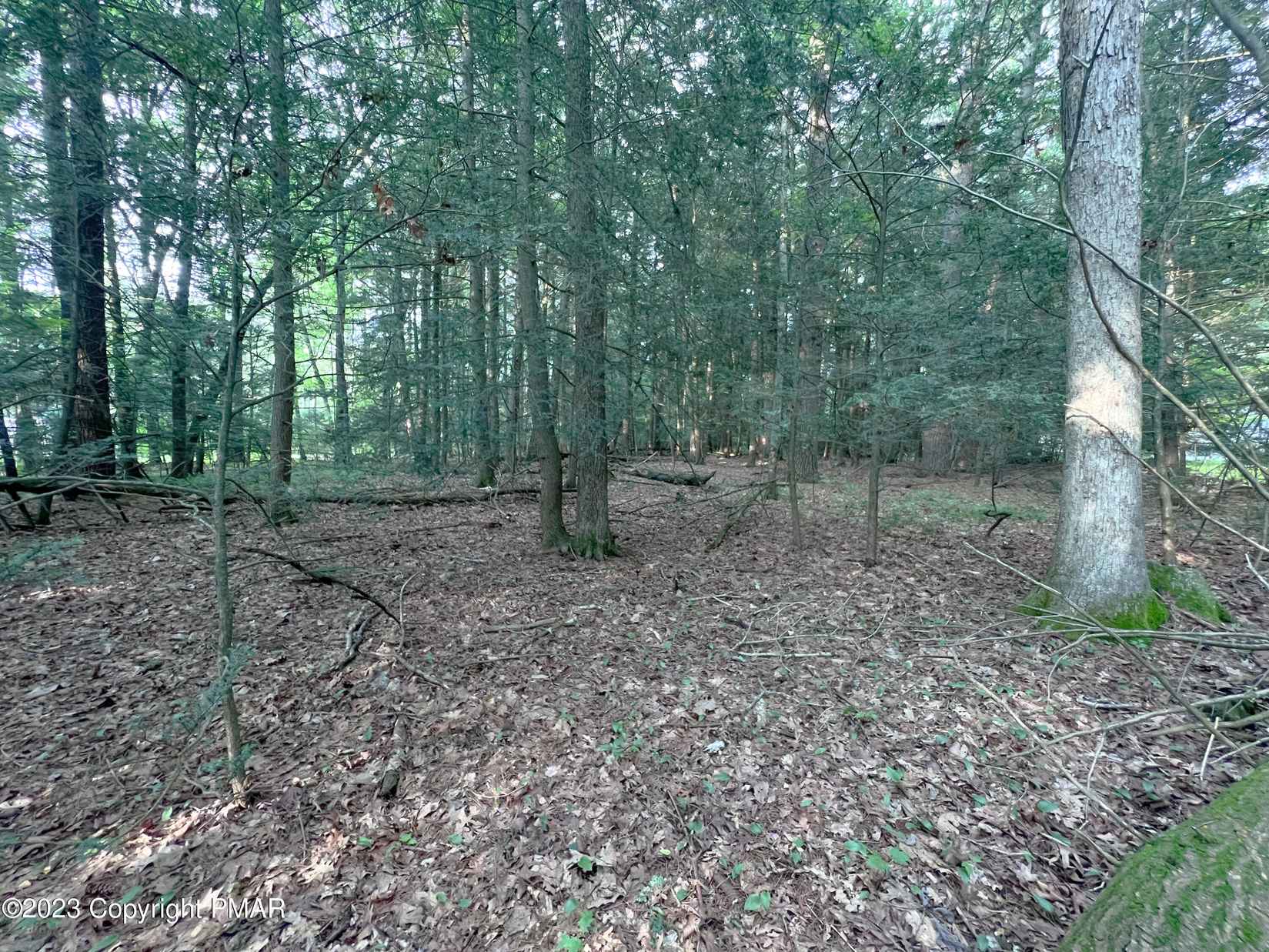 Lot 305 Fir St  