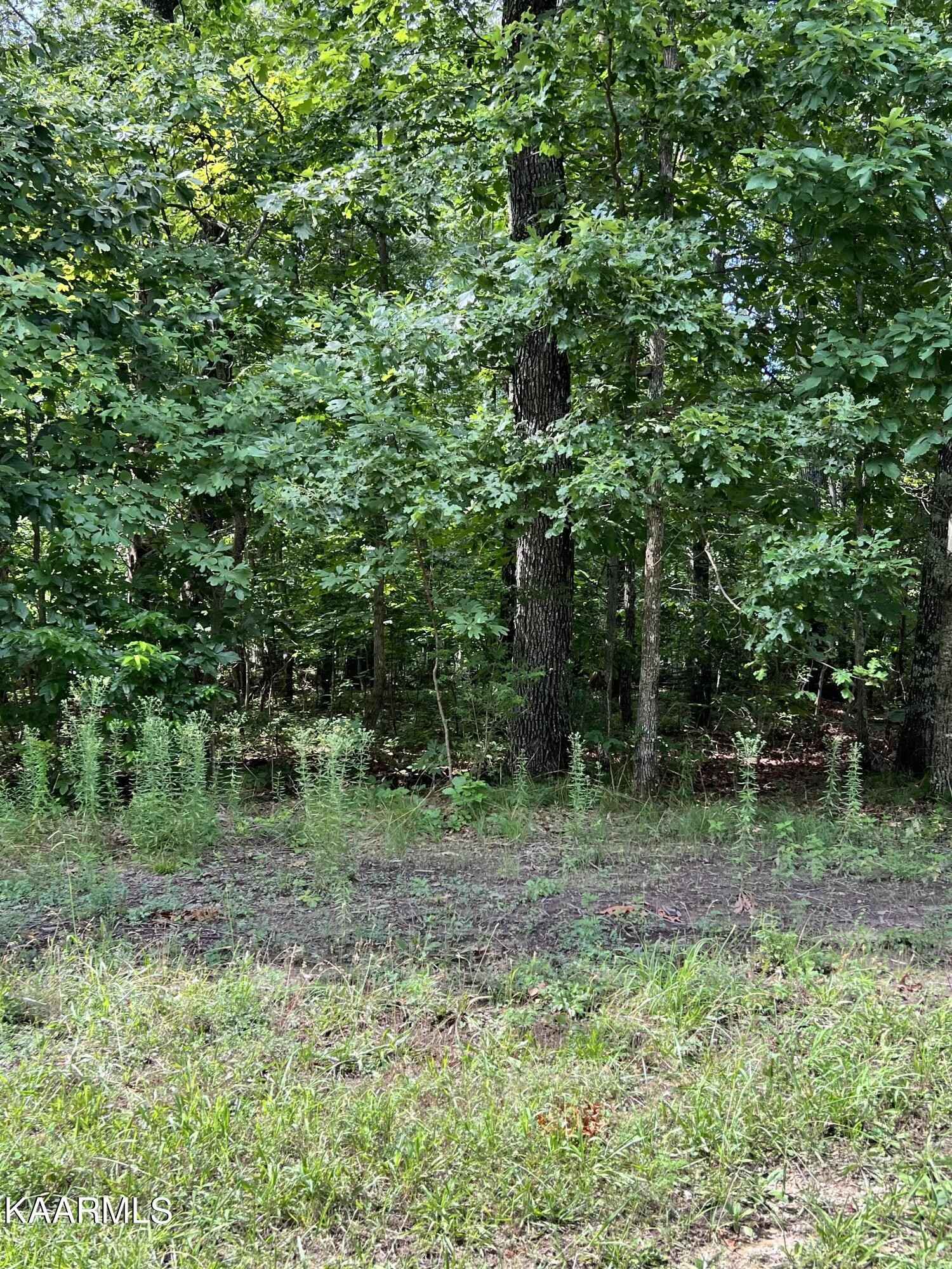 114 Britton Ln  