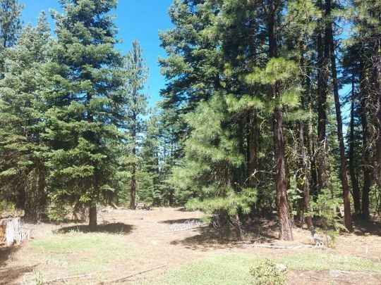 Lot 63 Blk 29 HU5 Bannack Rd  