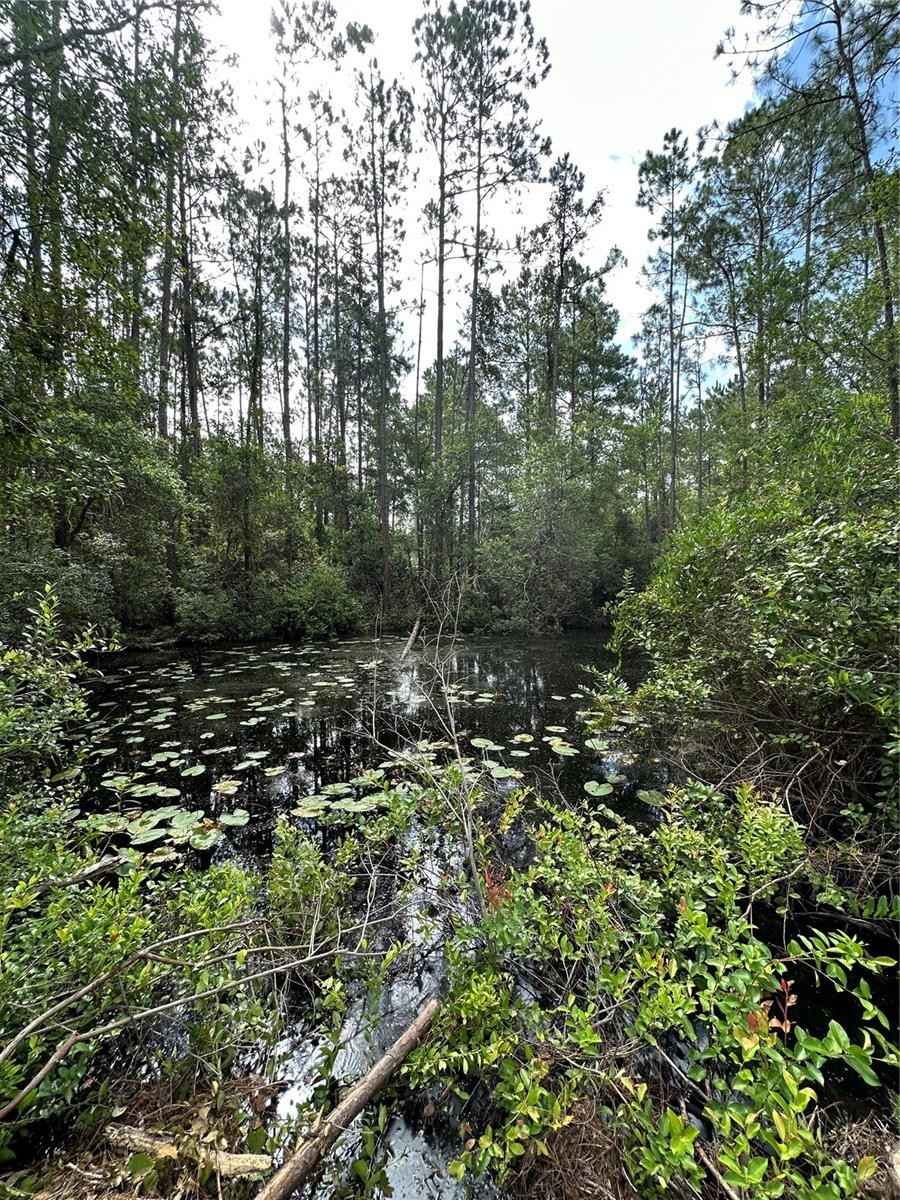 Tbd NE 234TH Pl Rd  