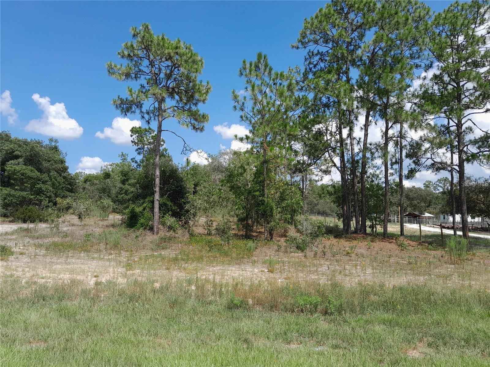 2191 SE STATE Rd 121  