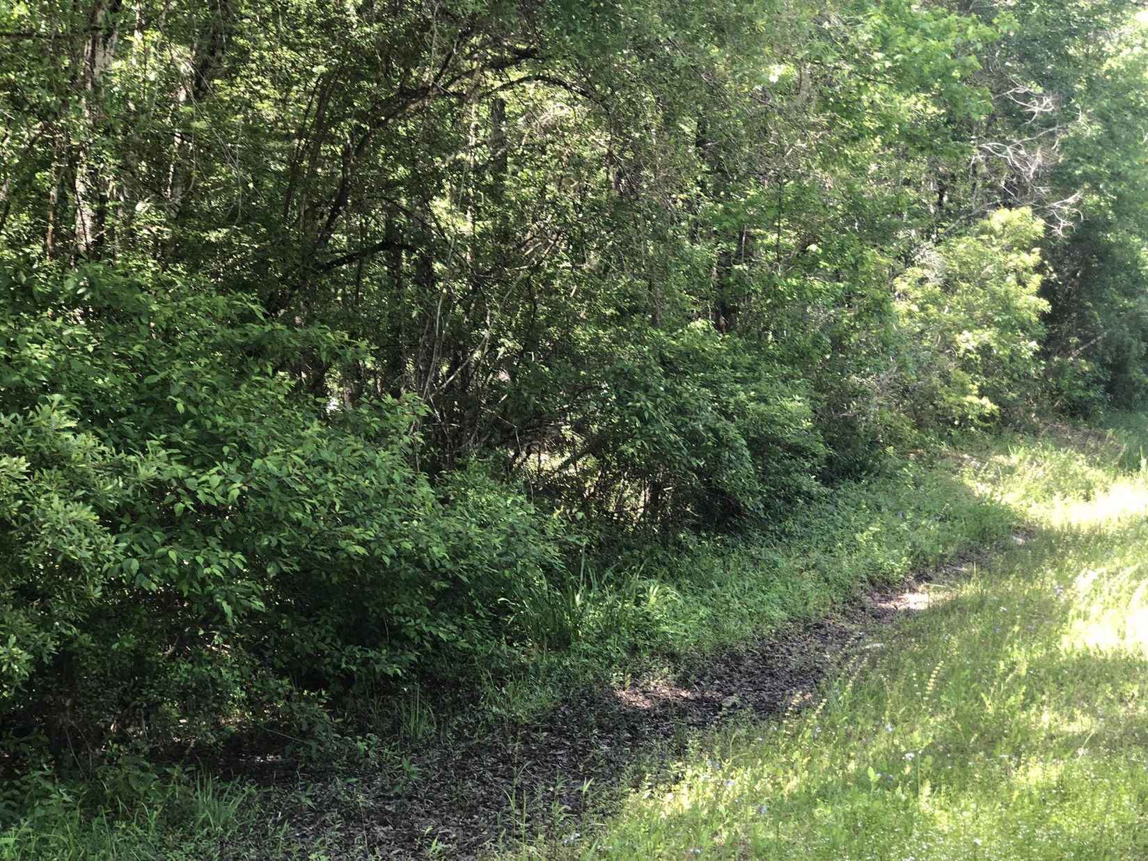 9865 E DEEP Crk BLVD  