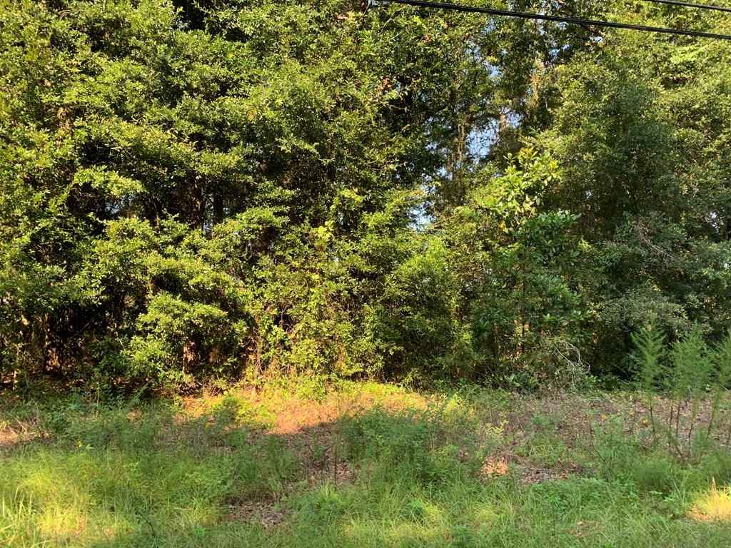 14 acre US Hwy 41  