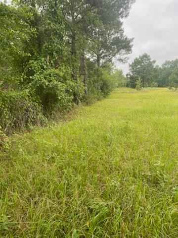 1608 B Cordele Hwy(257 South)  