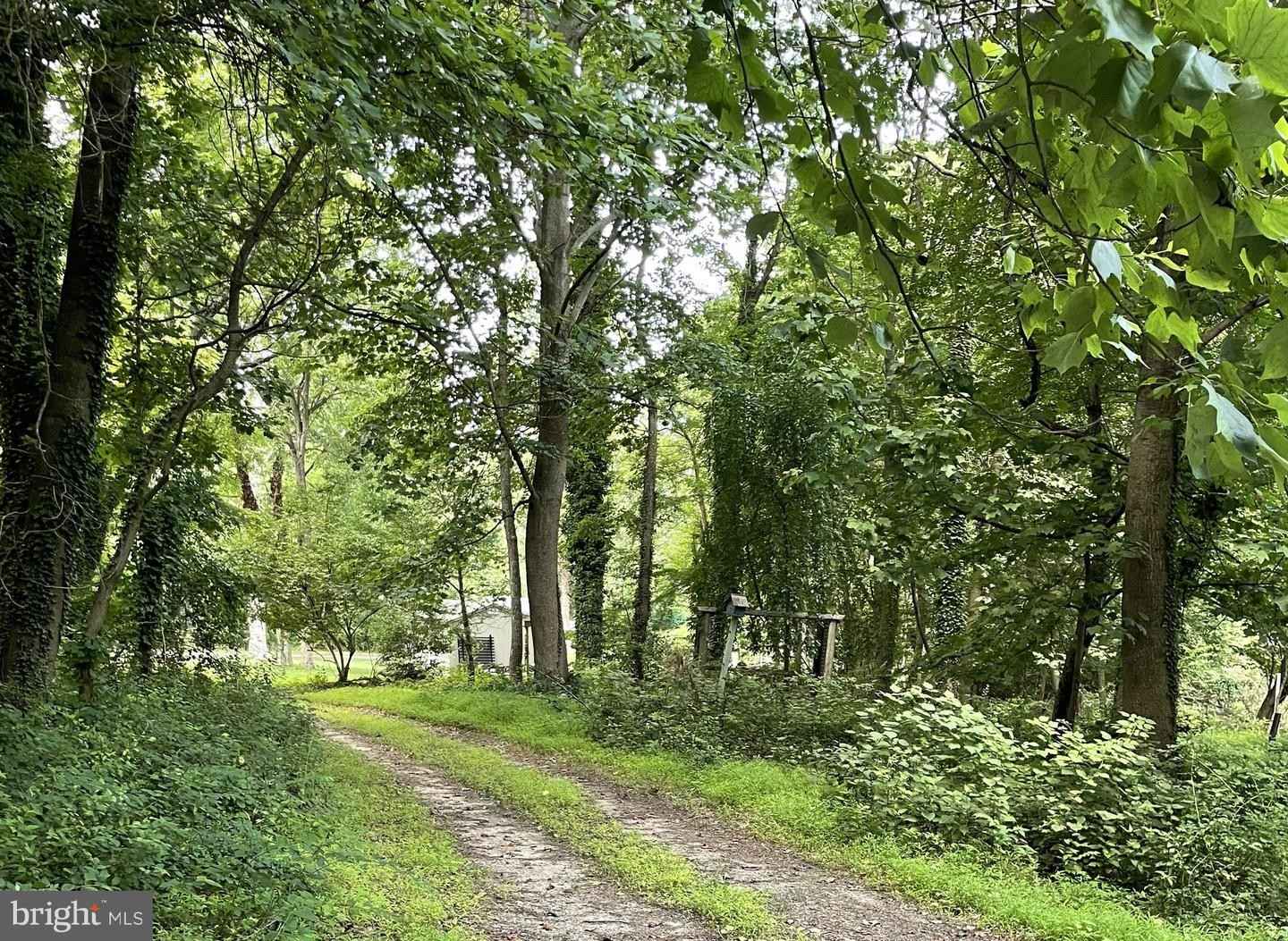 SITE 1 CONNECTICUT AVE  