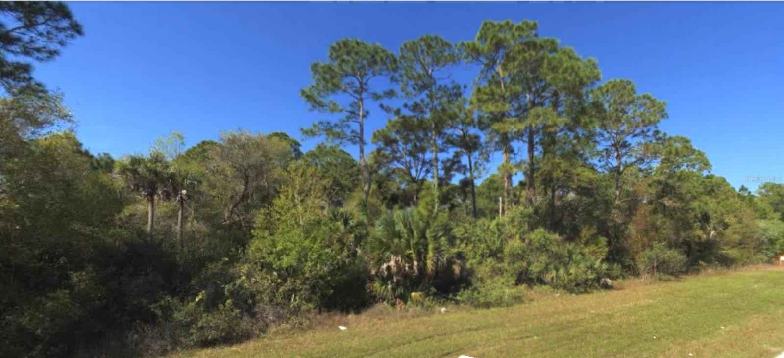 1573 1565 1557 BISCAYNE Dr  