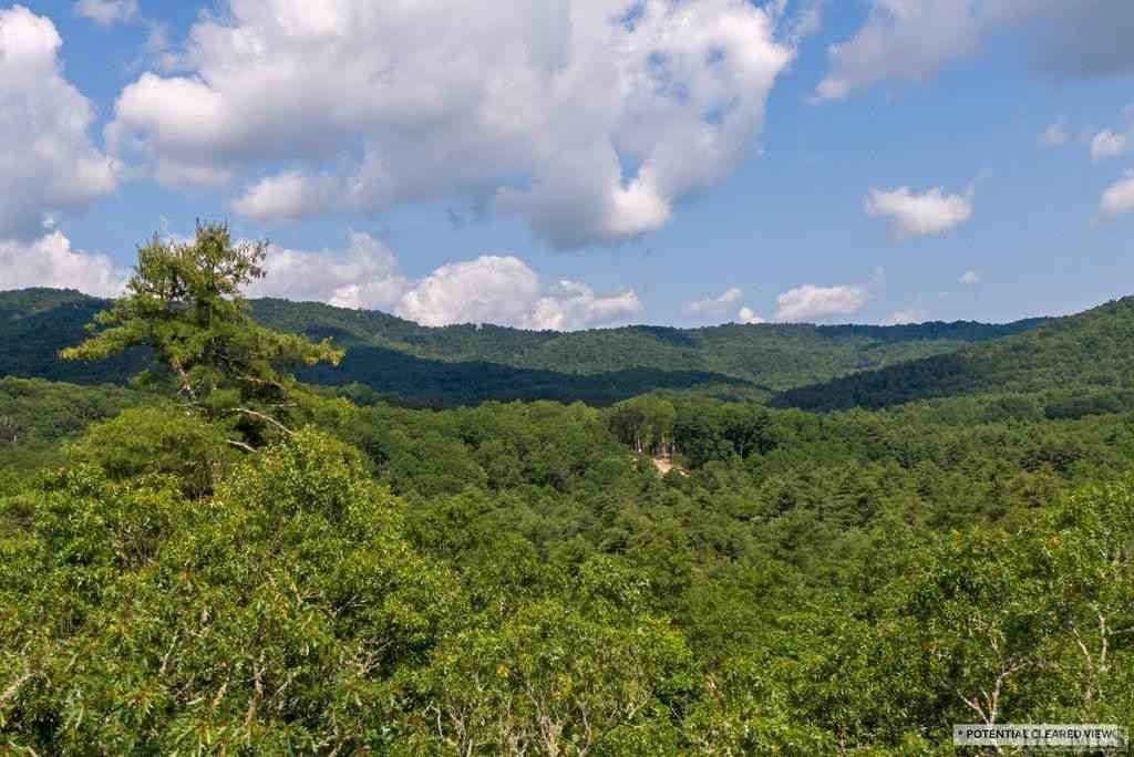 Lot 98 Blazing Star Dr  