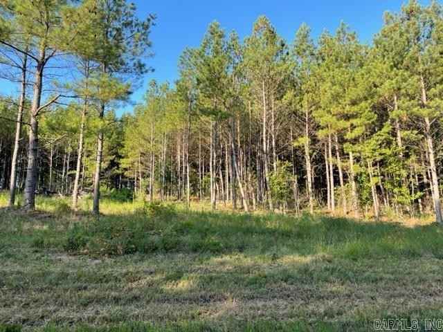 Lot 4 Round Mtn Rd  