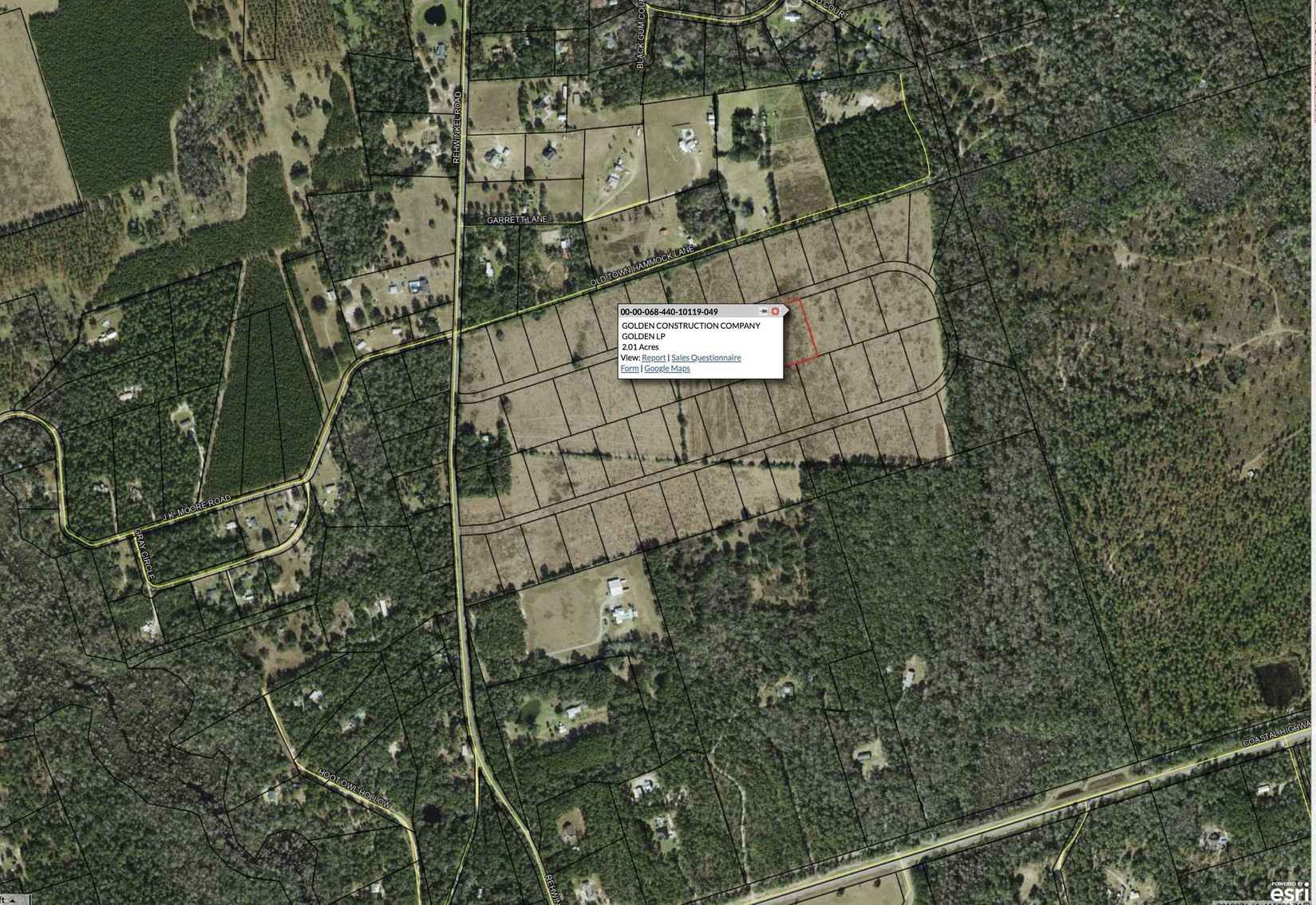 Lot 49 Golden Loop  