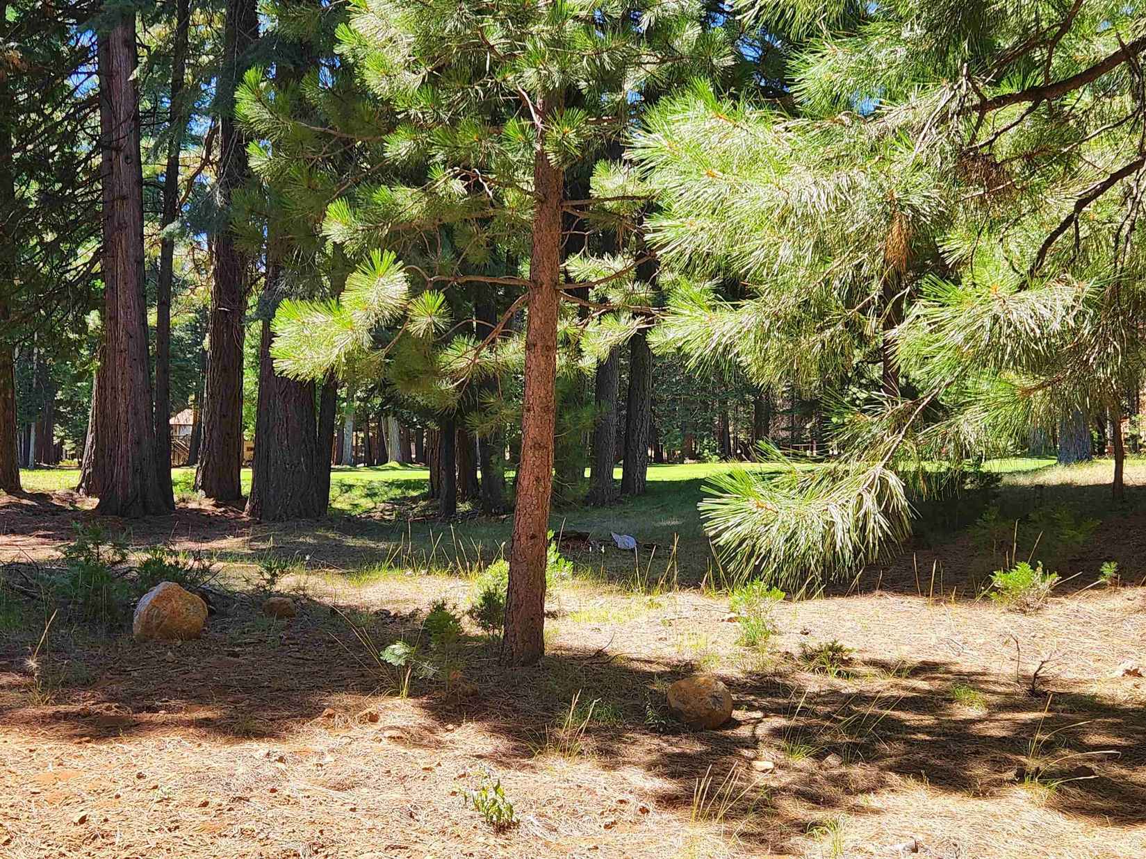 314 Maidu Dr  