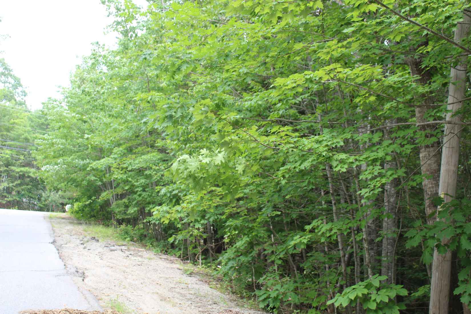 00 Bucksport Rd  