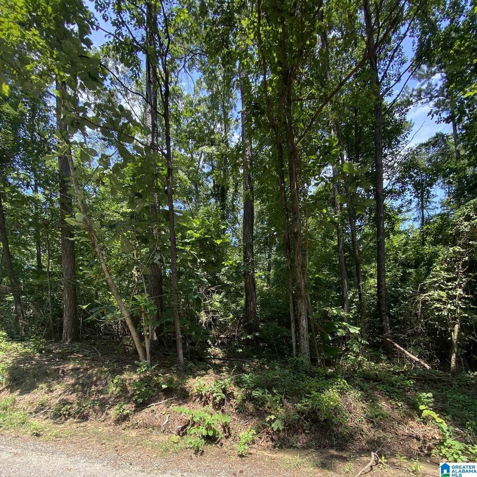 274 COUNTY Rd 232  