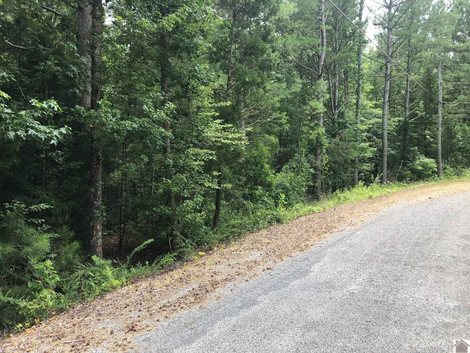 Lot 95 Baywood Vis Dr  