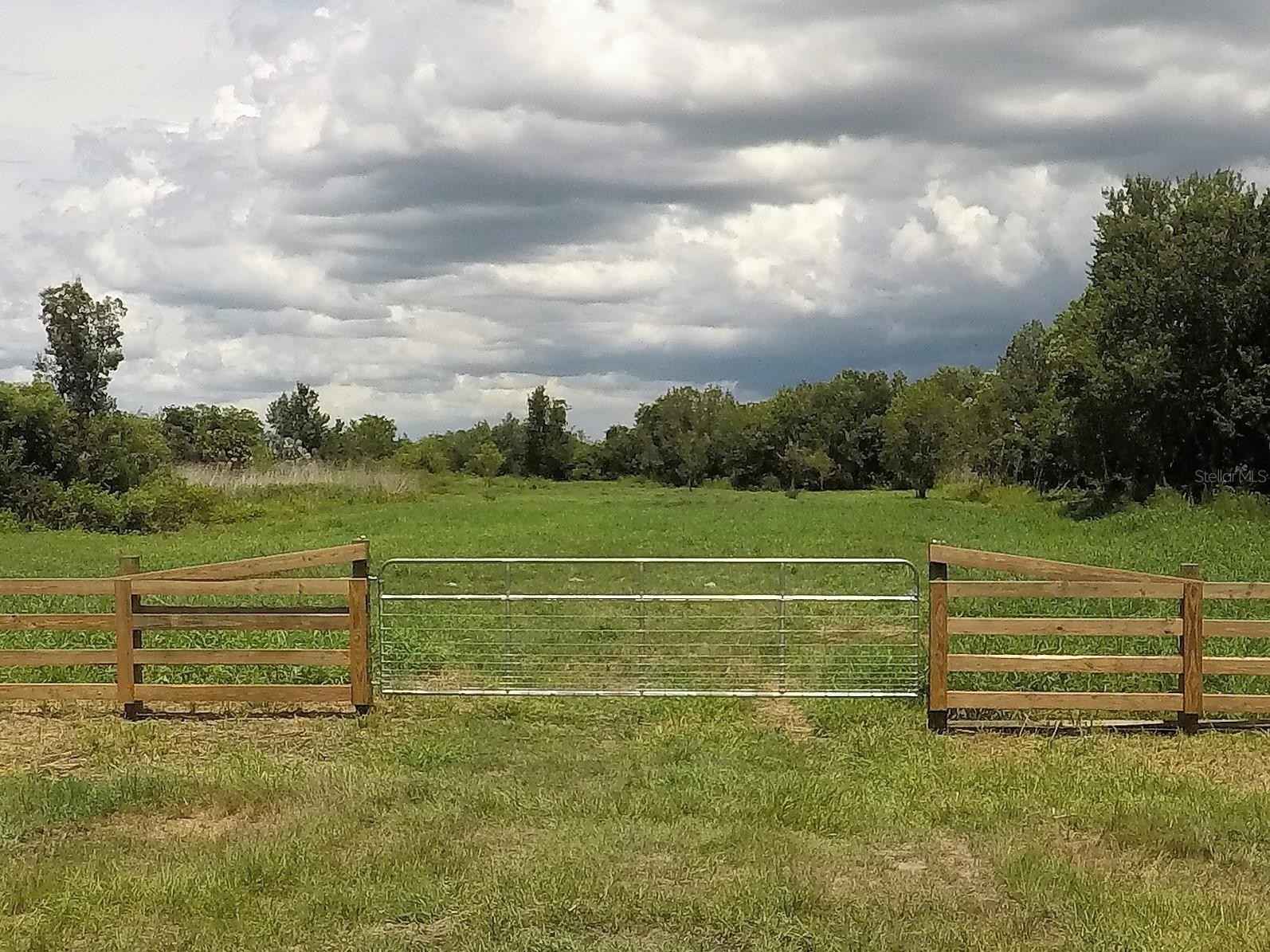 3901 HICKORY TREE Rd  