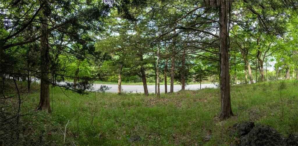 Unit 117 Appaloosa DR  