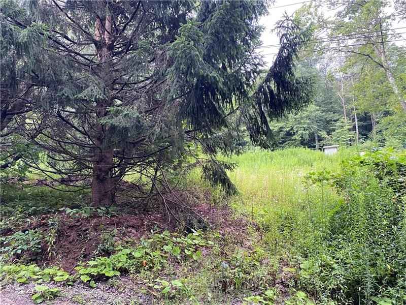 529 Pritts Distillery Rd  