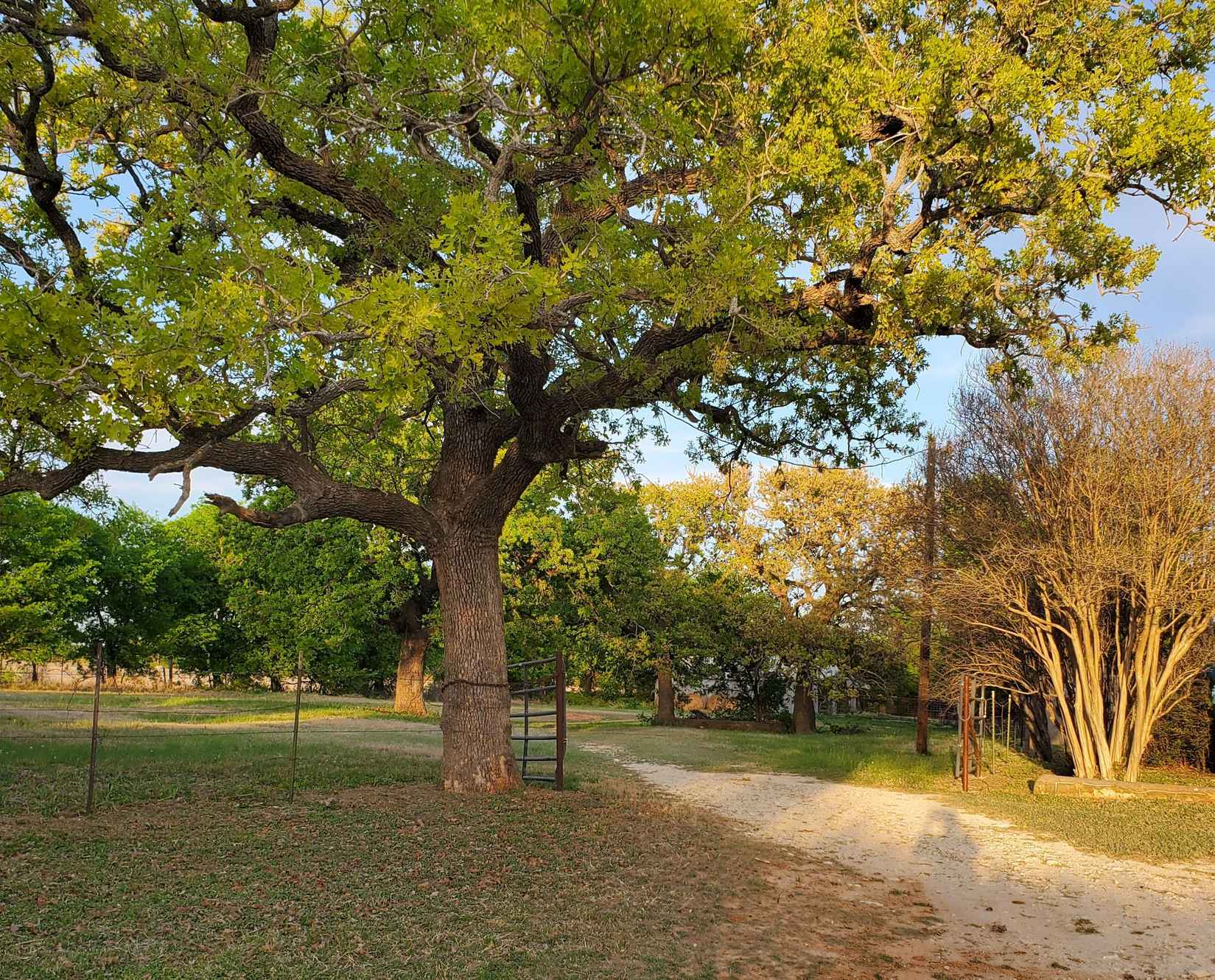 Comanche County Road 322 Dublin TX  