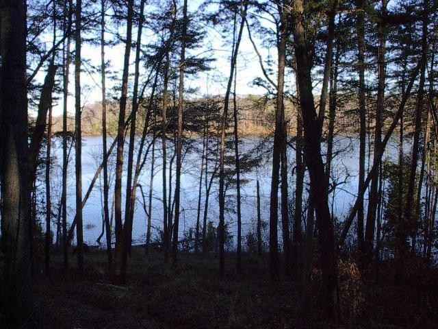 Lot 233 Clear Pointe Run  