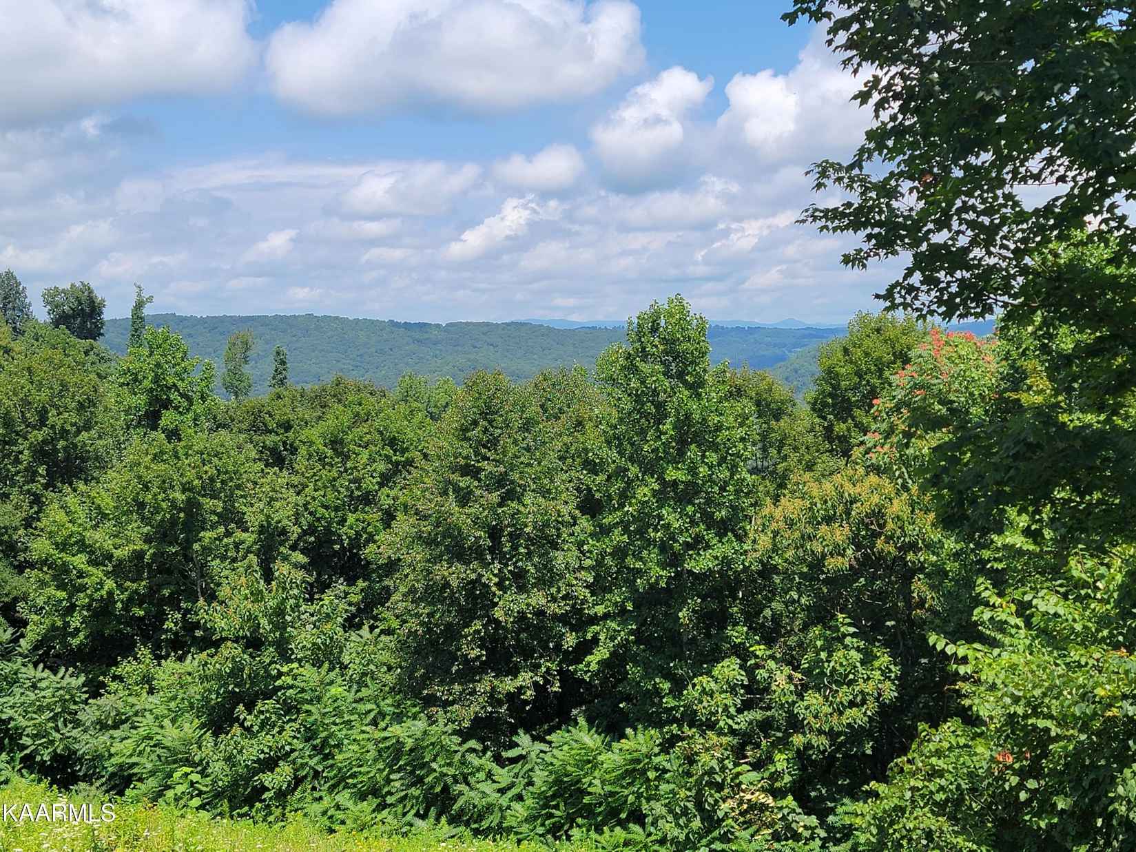Lot 5 Hickory Pointe Ln  