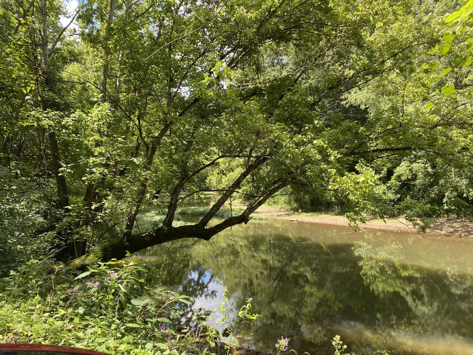 7682 South Wilderness Rd  