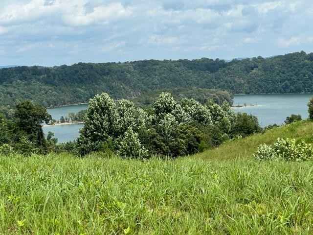 LOT 38 Holly Bnd Dr  