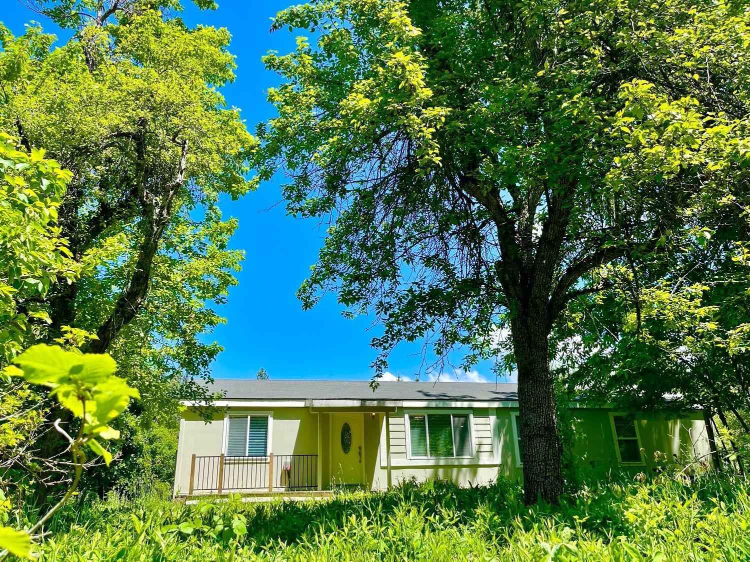 440 Caine Rd  
