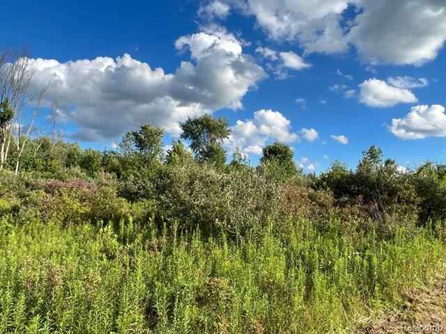 Parcel 009 Great Barrington Dr  