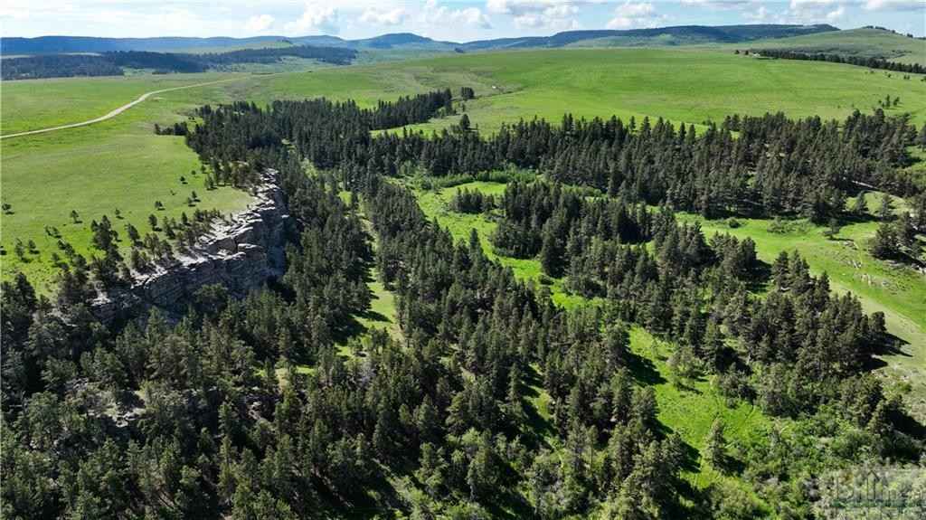 0 4228 FAIRVIEW RD FOREST GROVE MT 59441  