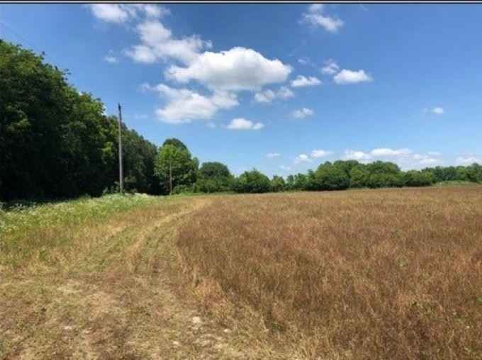 87 Acres Law 216  