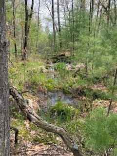 120 Acres County Rd Y  