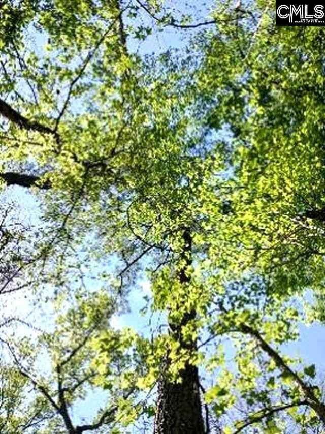 001 002 Piney Grv Rd  