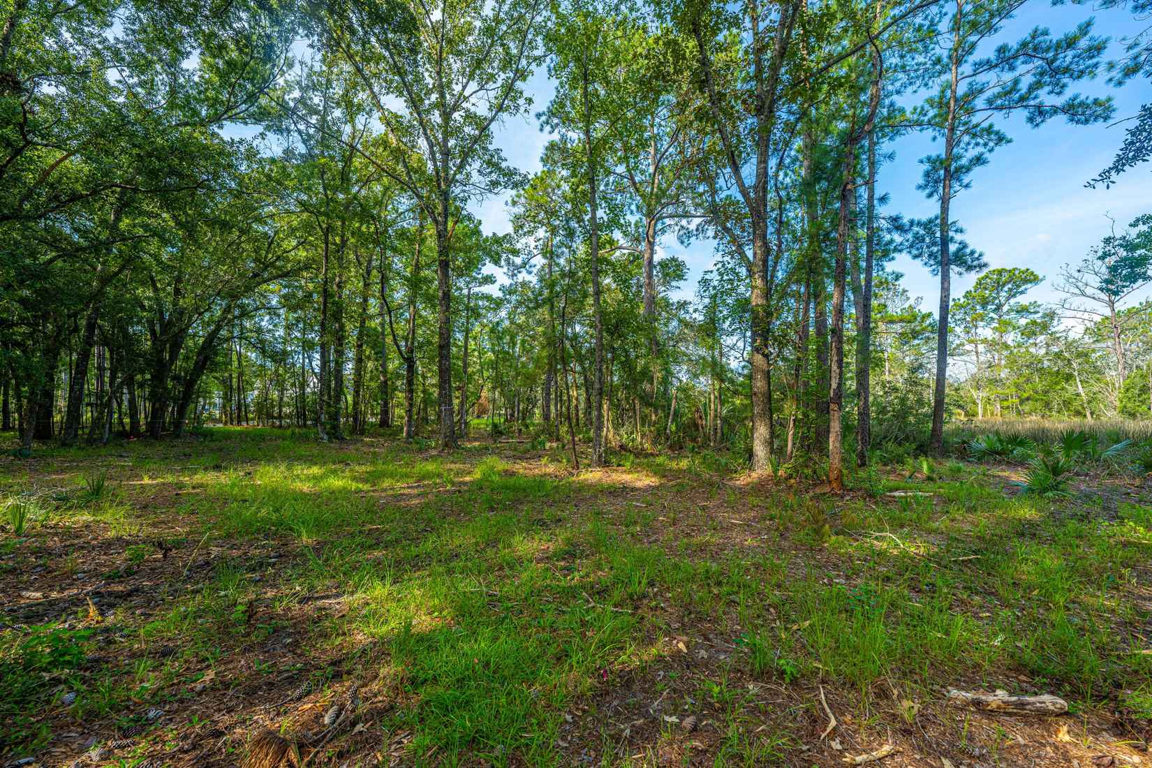 005 Cedar Plantation Ln  