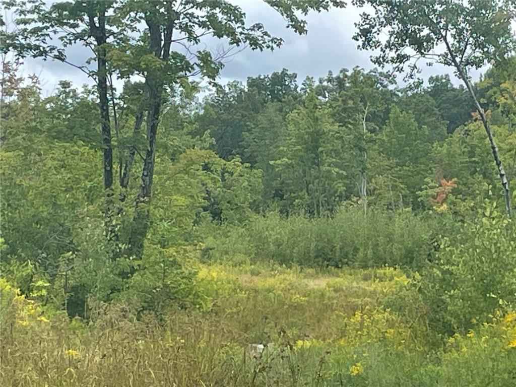 0 State Hwy 48  