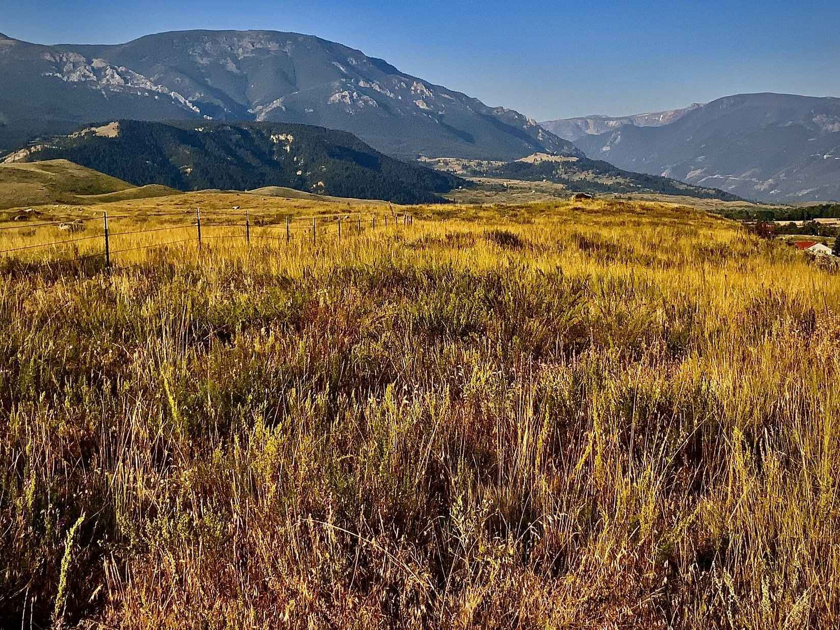 147 Spreading Winge LN  