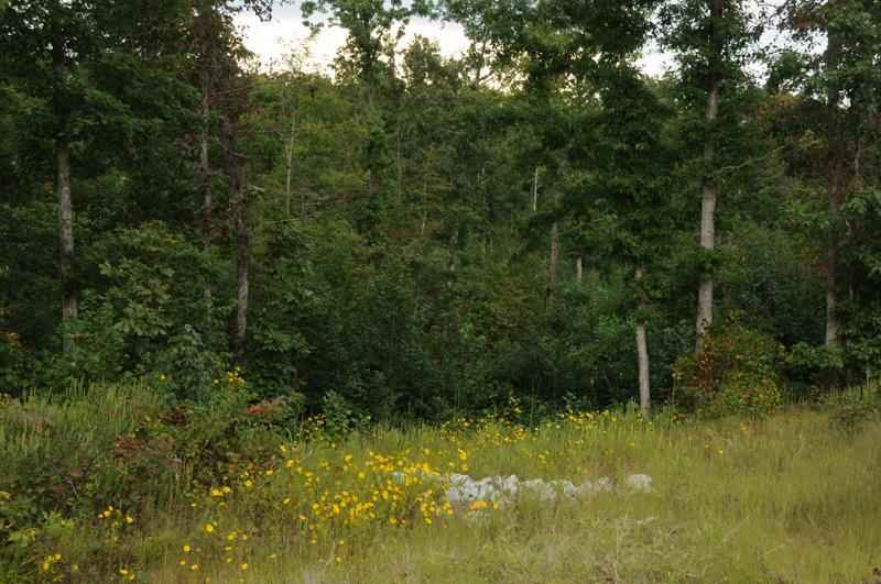 Lot 1-08 268 Mt Gilead Rd  