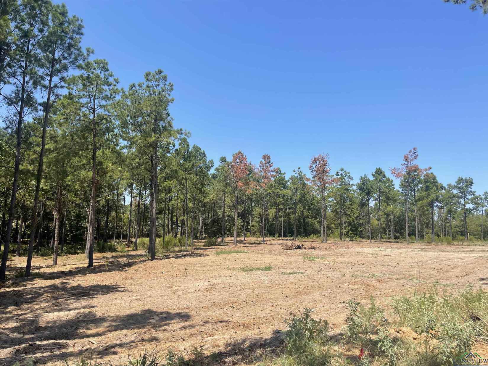 Lot 1/2 Eagle Crk Dr  