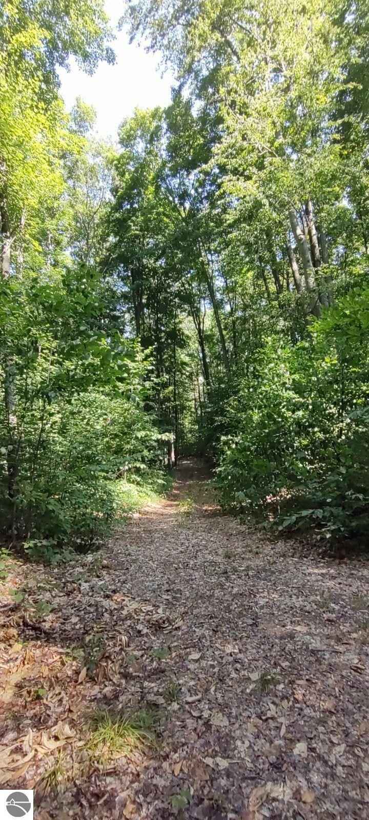 VL Trail 21 Lan Smith Lk Rd  