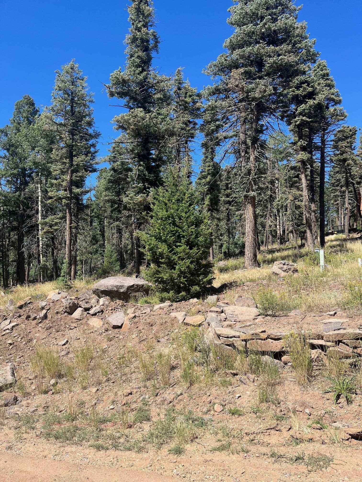 Lot 1246 El Camino Real  