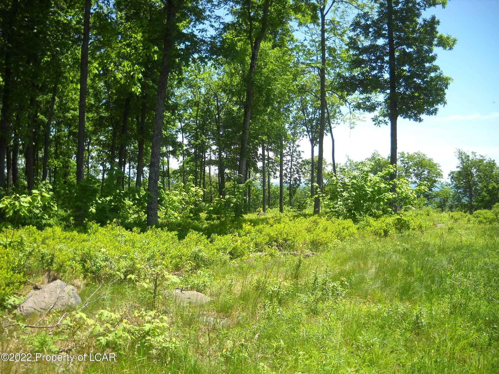 21 Scenicview  