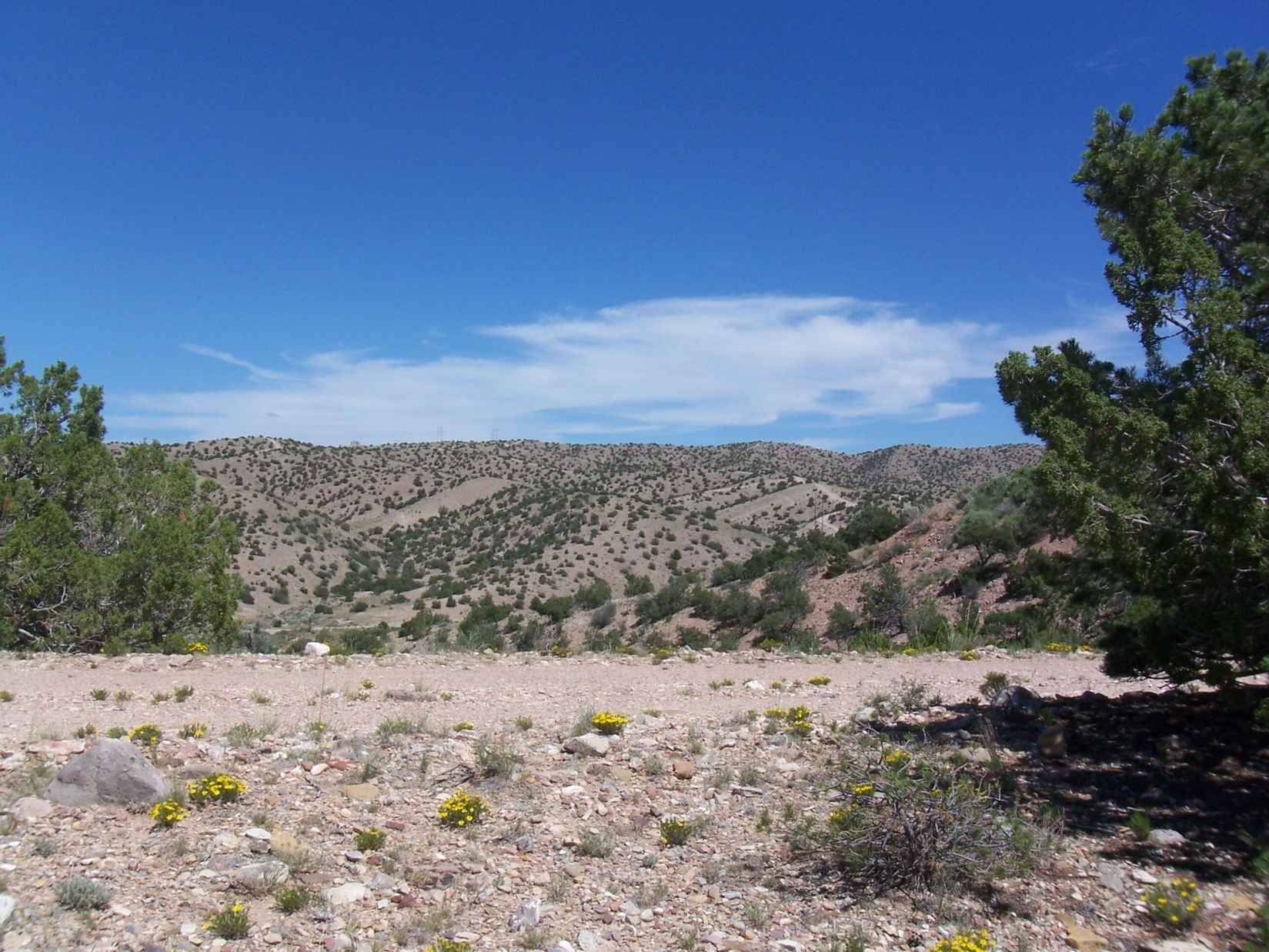 54 Camino De Las Brisas  