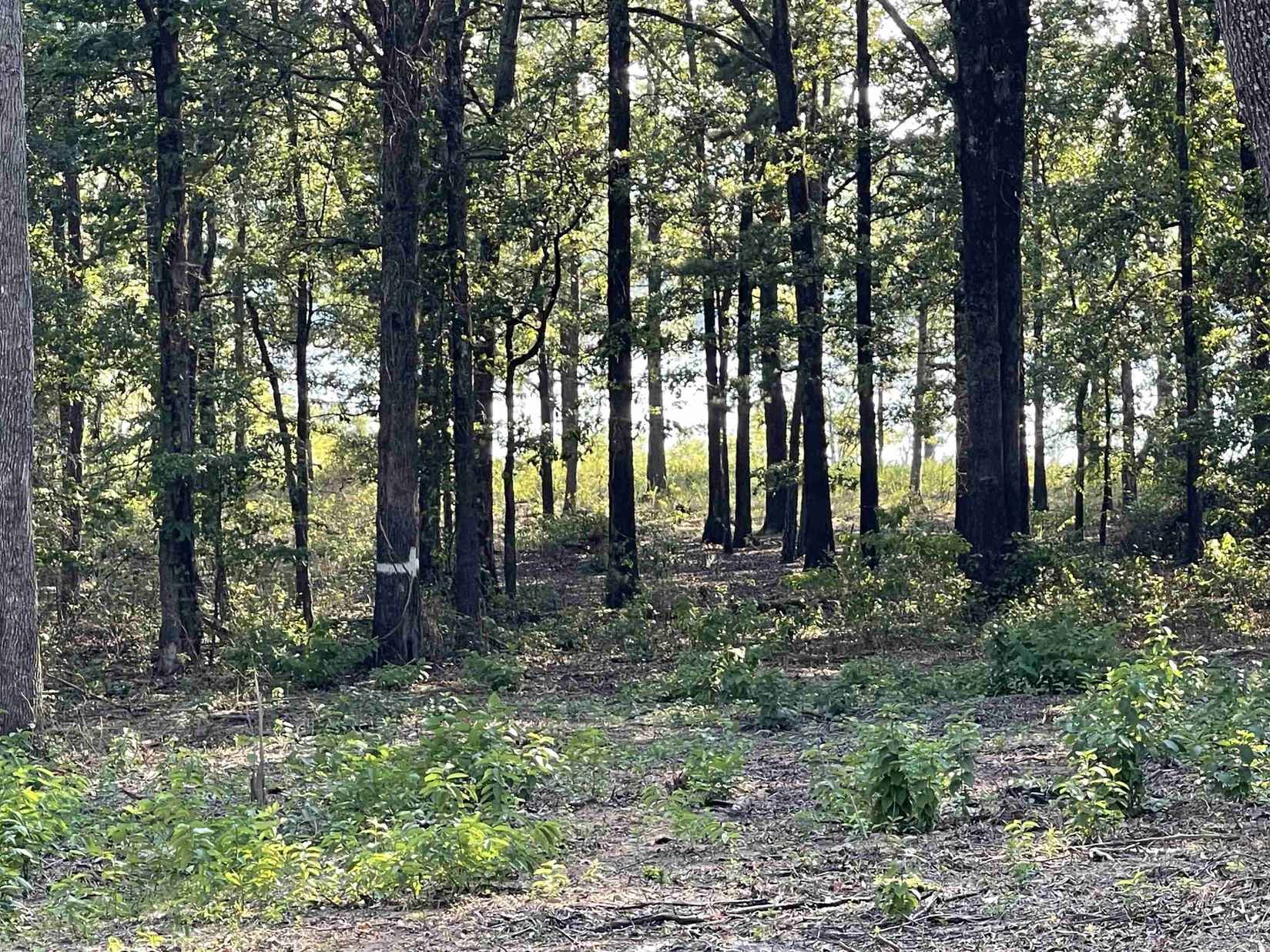 Lot 46R Shiloh Pointe Rd  