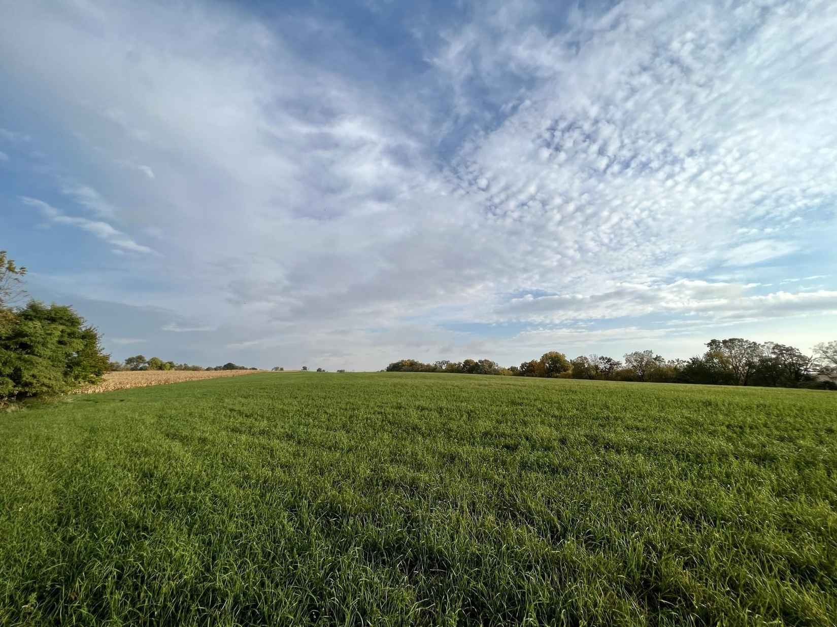 LOT 3 BURR OAK Ln  