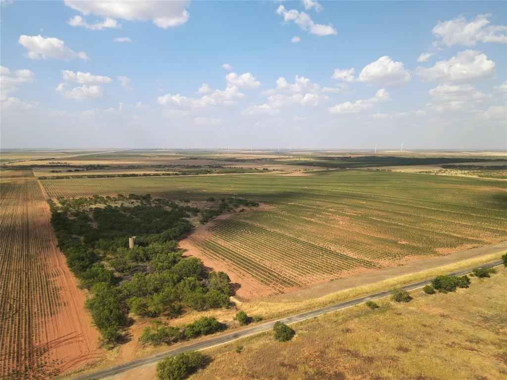 161 Acres CR 210  