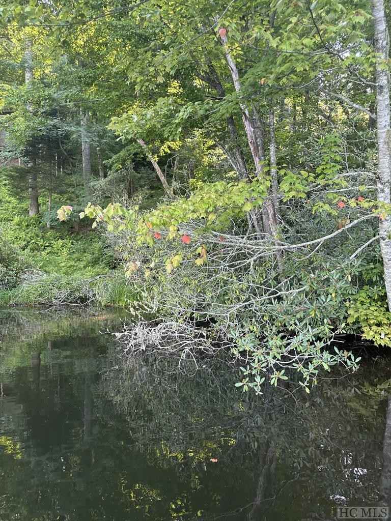 Lot 11 W Christy Trl  