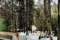 10913 Elm Dr  