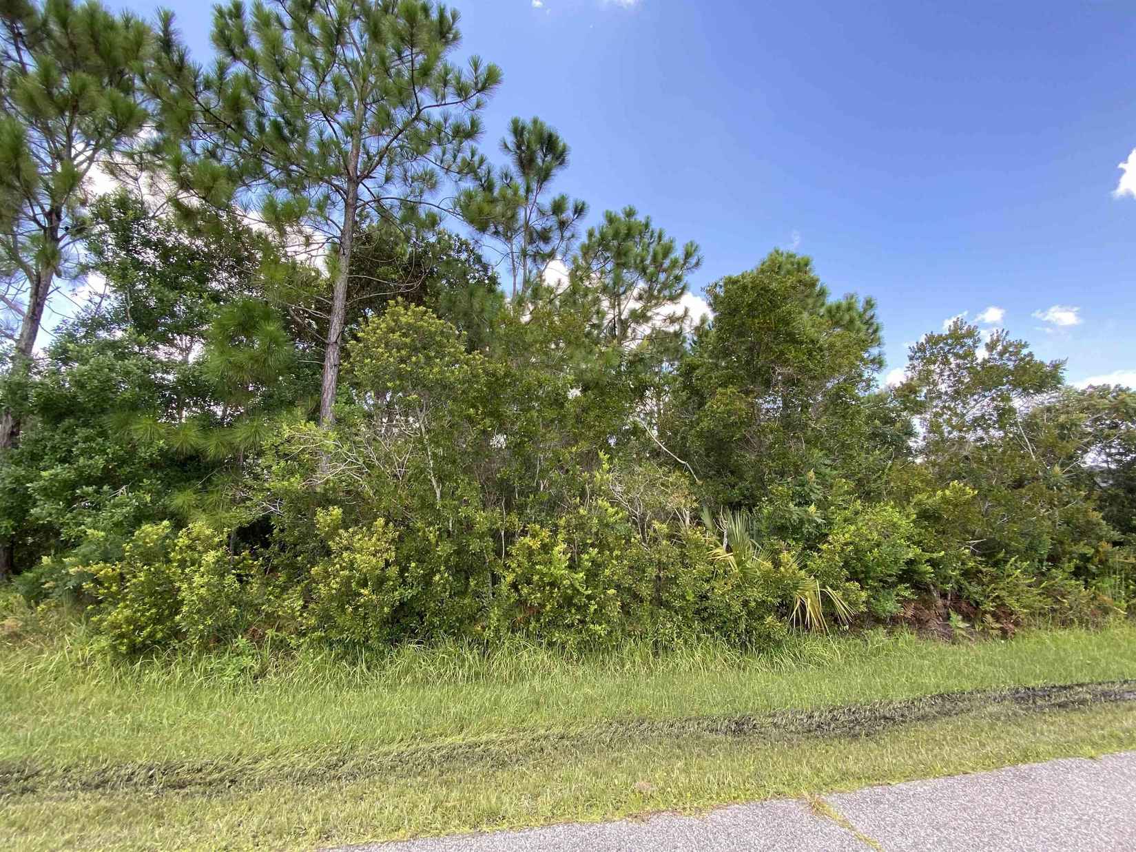31 Lamont Ln  
