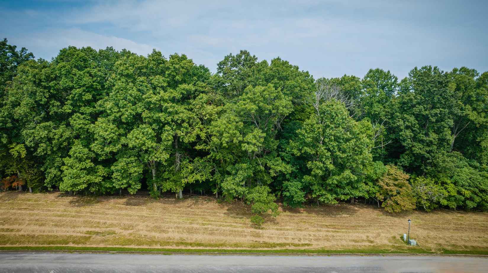 Lot 42 Chimney Top Ln  