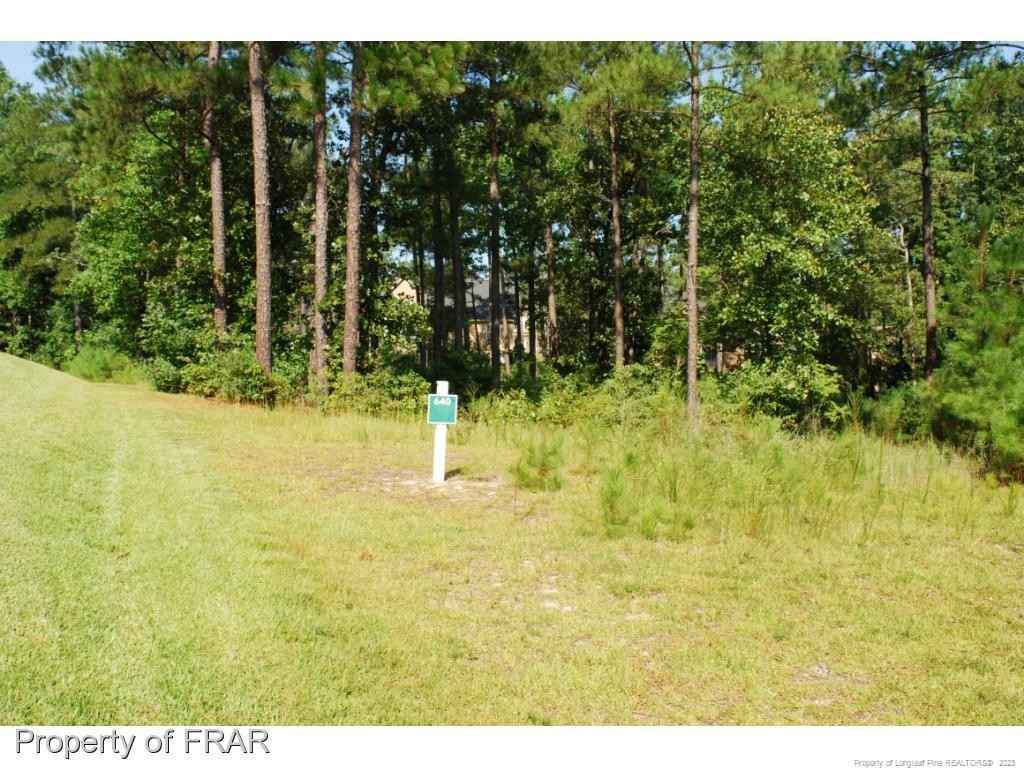 232 Broadlake (640) Ln  