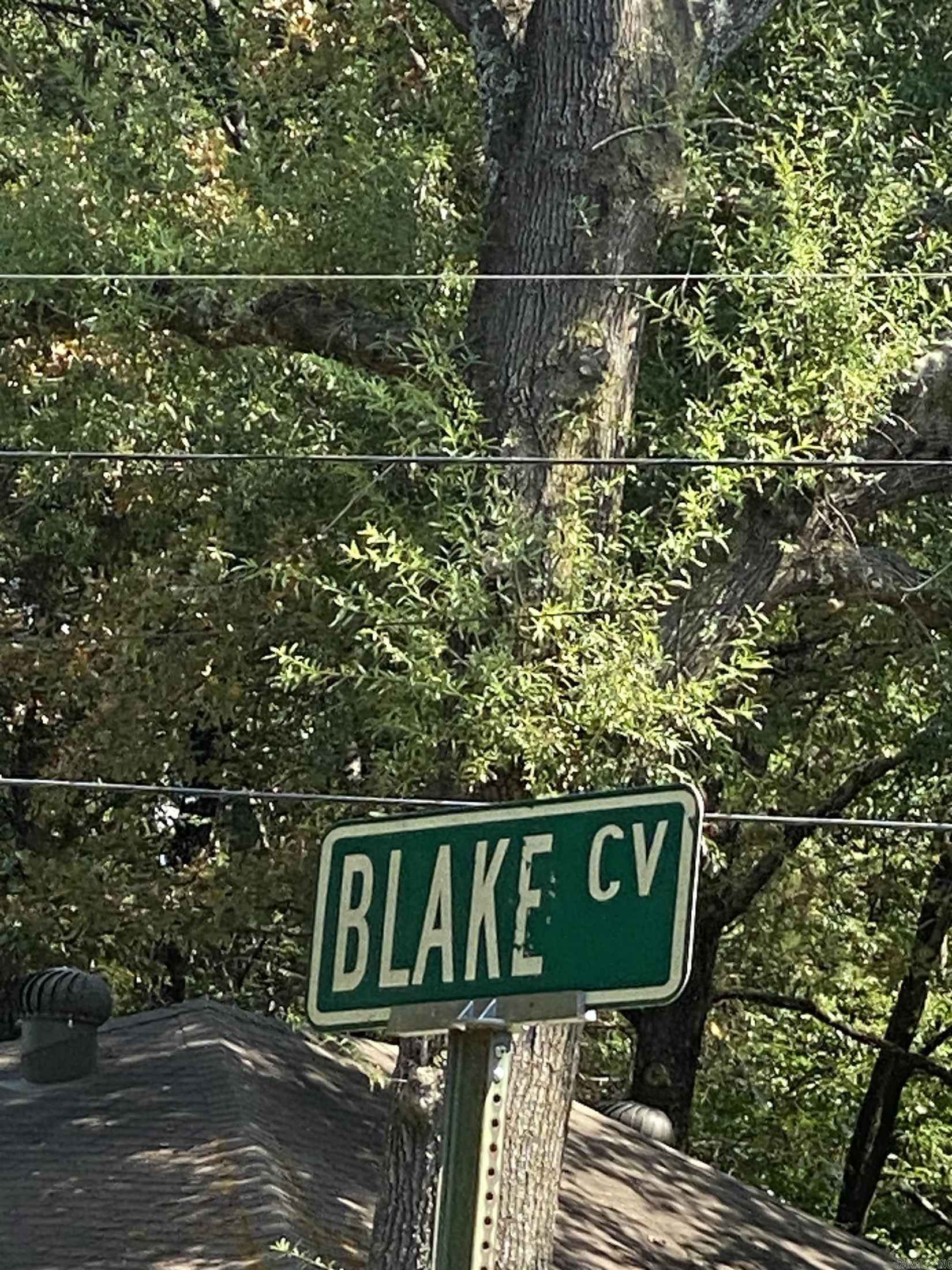 00 Blake Cv Ln  