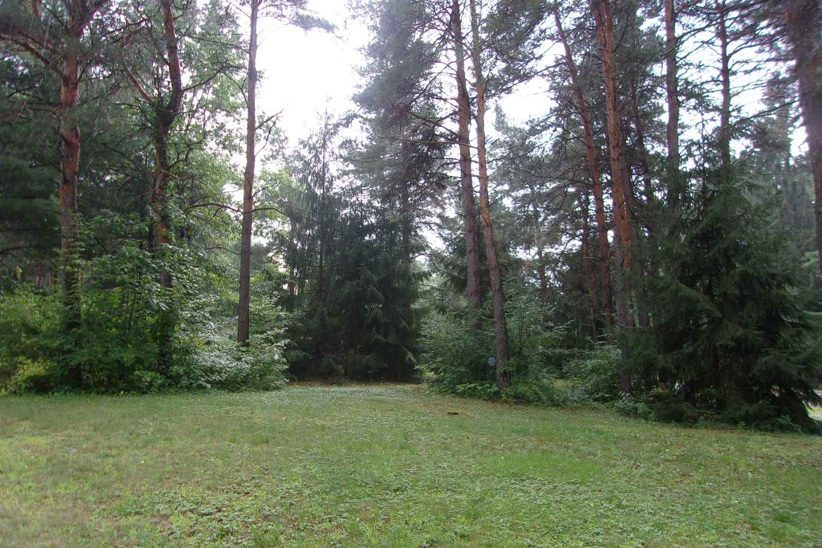 550 Evergreen  